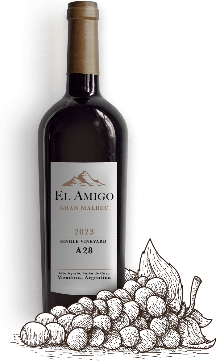 El_Amigo_23_1